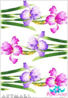 Irises № 2